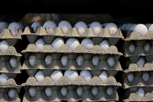 Crates of eggs waiting to be unloaded and sold at Jerusalem's Mahane Yehuda Shuk, February 1, 2023. (credit: MARC ISRAEL SELLEM/THE JERUSALEM POST)
