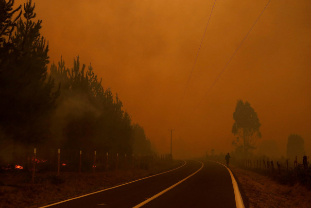  A wildfire burns areas in Santa Juana, near Concepcion, Chile (credit: REUTERS)