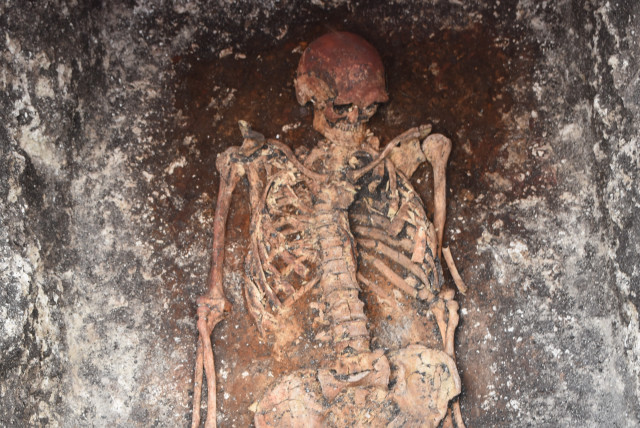  Detail of the horse rider discovered in Malomirovo, Bulgaria. He displays the typical burial custom of the Yamnaya. The radiocarbon date puts him into the 30th century BC. (credit: Michał Podsiadło)