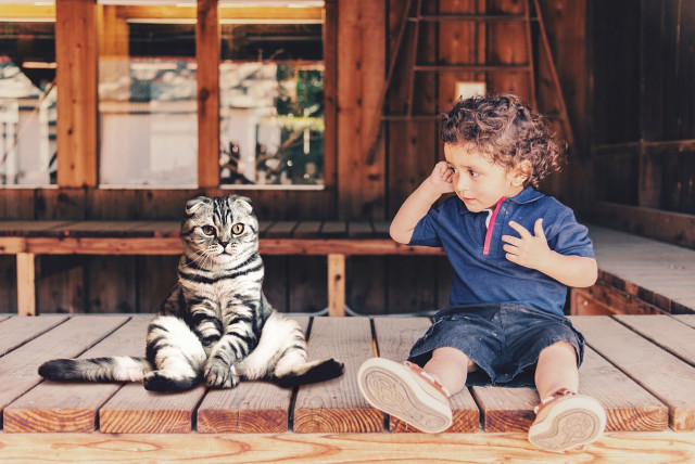  Illustrative image of a child with a cat. (credit: PIXABAY)
