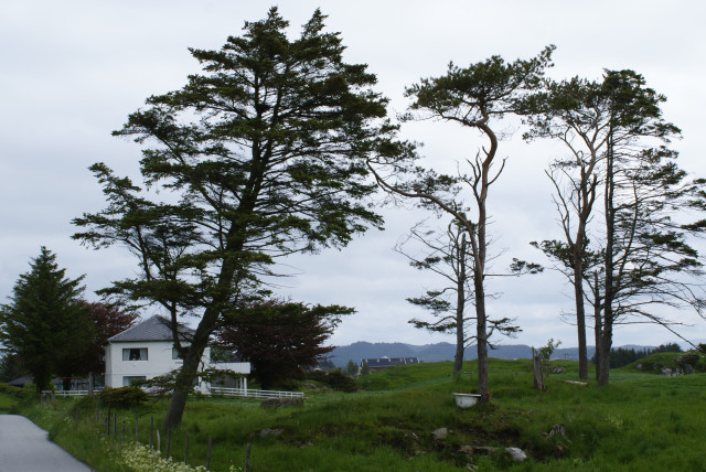  Farm on Karmøya, Haugesundet, Rogaland, Norway. (credit: Wikimedia Commons)