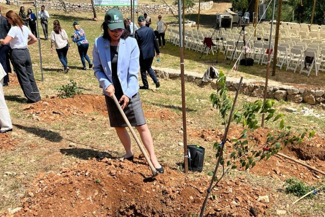  Thailand’s Ambassador Pannabha Chandraramya plants a sapling at the KKL-JNF event. (credit: TOVAH LAZAROFF)