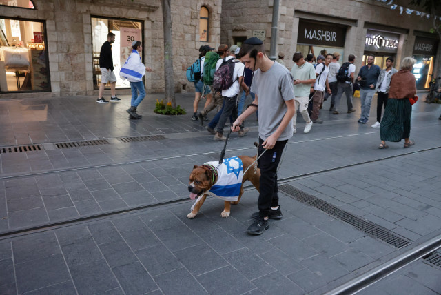 A man walks his dog wrapped in an Israeli flag in Jerusalem on Jerusalem Day, May 18, 2023 (credit: MARC ISRAEL SELLEM)