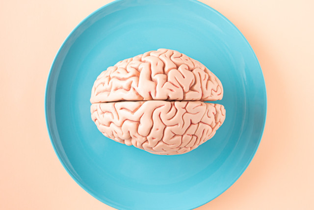 A brain (Illustrative) (credit: Amel Uzunovic/Pexels)