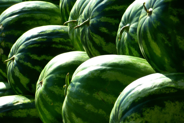  What can the stem of a watermelon tell you about how it will taste? (illustrative) (credit: PEXELS)