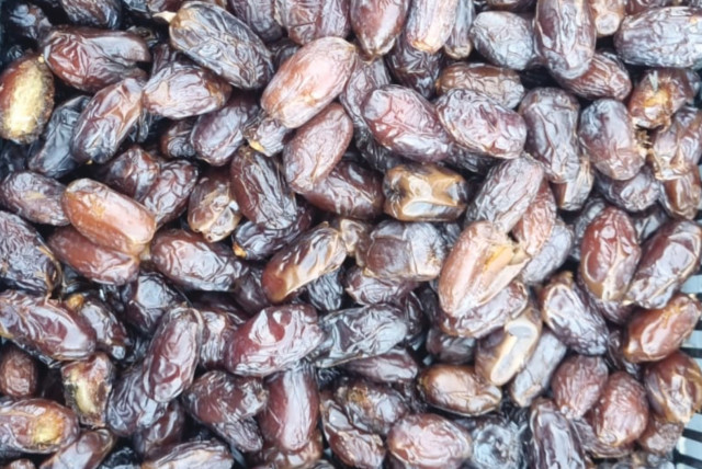 DAYTS IS GETTING seed money from global investors to develop new date-based natural ingredients for use as shelf-life extenders and nutritional supplements for everything from meat products to baked goods. (photo credit: DAYTS)