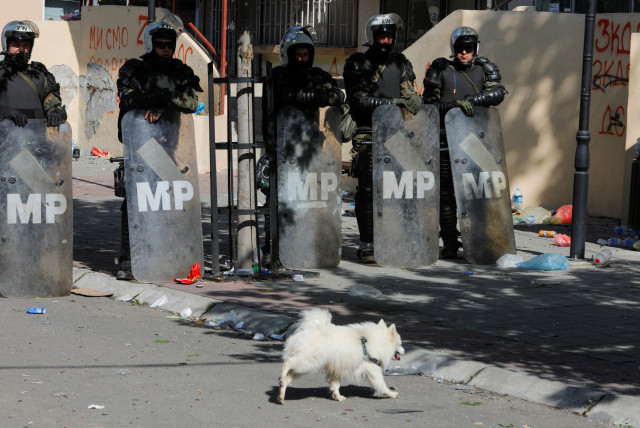  A dog walks by Polish Kosovo Force (KFOR) soldiers standing guard at a municipal office in Zvecan, Kosovo May 30, 2023. (credit: REUTERS)