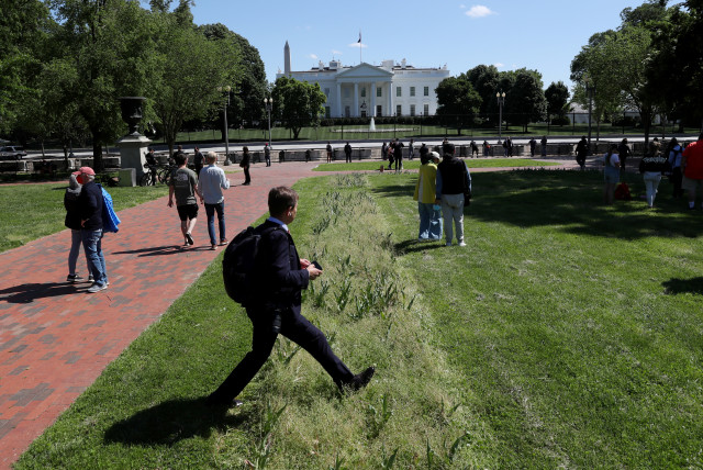  A visitor walks through an overgrown tulip bed as people walk around Lafayette Square after the fence was opened to allow public back inside the park following a closure that lasted months outside of the White House in Washington, US, May 10, 2021 (photo credit: REUTERS/LEAH MILLIS)