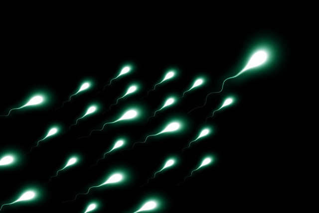  An illustrative image of sperm cells. (credit: PIXABAY)