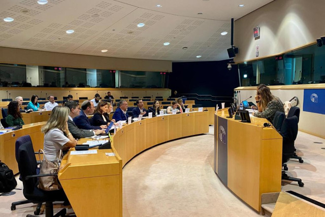  THE WRITER (front row, fourth from left) is among the members of the task force appearing at a European Parliament hearing.  (credit: Courtesy Michal Cotler-Wunsh)