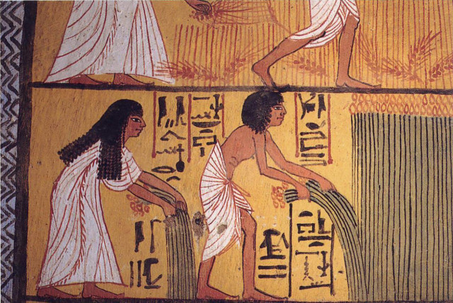  A wall-painting from the tomb of Sennedjem, an Egyptian craftsman, depicting the deceased and his wife Iyneferti blissfully harvesting their fields in the afterlife. Deir el-Medina, near Thebes. (credit: WIKIPEDIA)