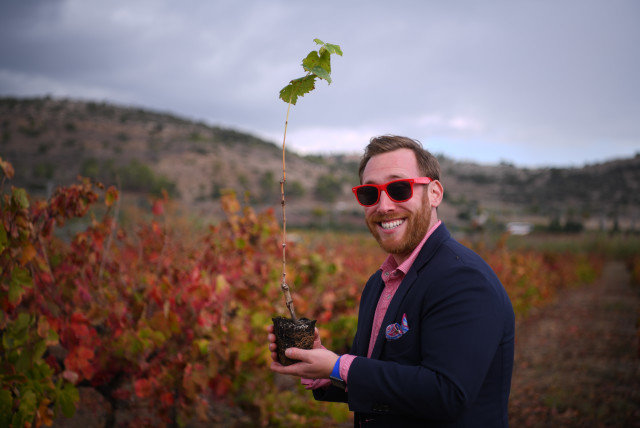  ADAM SCOTT BELLOS is the human dynamo behind Wine on the Vine.  (credit: Wine on the Vine)