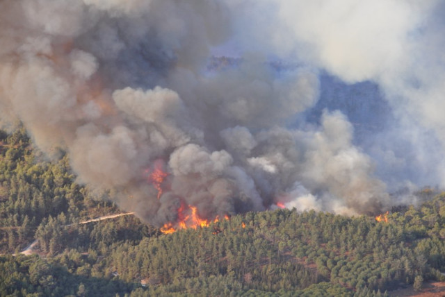  A fire on Mount Carmel in 2010. (credit: Wikimedia Commons)