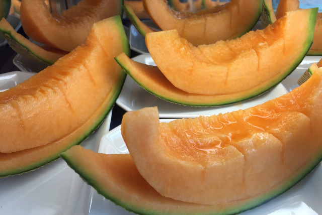  Melon Slices. (credit: VIA WIKIMEDIA COMMONS)