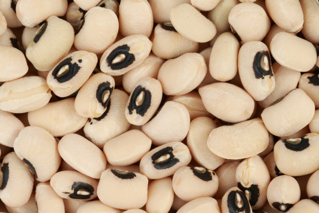  Black-eyed-pea beans. (photo credit: Wikimedia Commons)