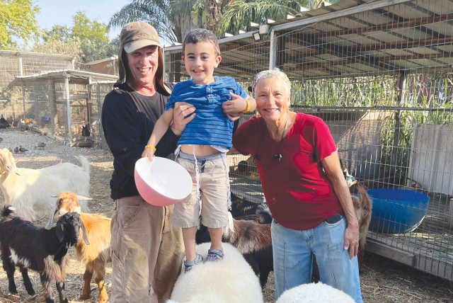  DR. TZVI (L) & SUE MUSLOW flank grandson Amit Mazon, atop one of their sheep. (photo credit: Courtesy Muslow family)