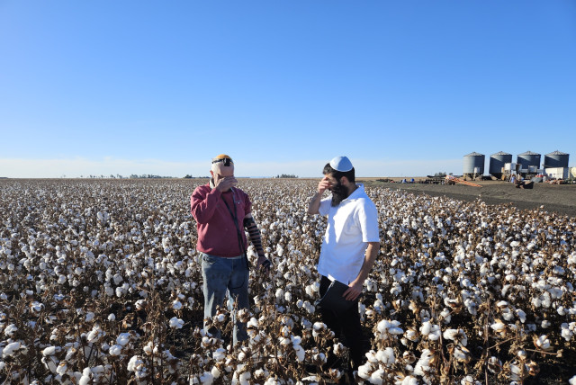  Rabbi Mendel Zarchi helps Howard Rother lay tefillin at his cotton farm in Cecil Plains, in the Australian state of Queensland. (credit: COURTESY/RABBI MENACHEM ARON)