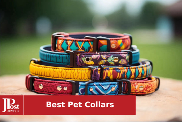 6 Pack Pink Cute Dog Collars Adjustable Collars for Girl Dogs and Cats