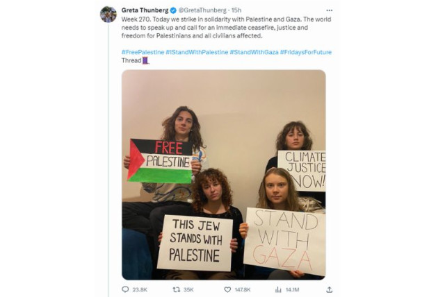 Greta Thunberg posts pro-Hamas message on X (credit: screenshot)