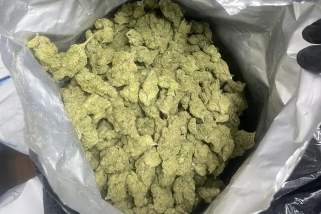  The cannabis that was found (credit: POLICE SPOKESPERSON'S UNIT)