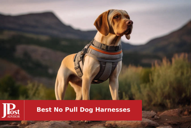 Top Quality USA Made No Choke, No Pull, More Love Dog Harnesses
