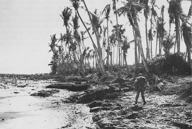  Biak Island, 1944. (credit: WIKIPEDIA)