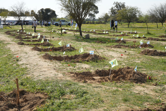  The families of October 7 Nova music festival victims participate in an tree-planting ceremony together with KKL-JNF at the Re’im Forest on January 21, 2024. (credit: Yossi Ifergan/KKL-JNF Photo Archive)
