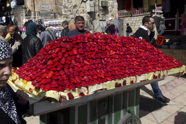  A vendor stands behind a cart as he sells strawberries at a market in Jerusalem's Old City (credit: RONEN ZVULUN/REUTERS)
