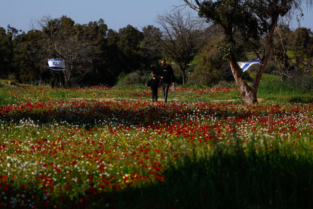  A man and a boy walk past Israeli flags over a field of wildflowers blooming at the site of the Nova festival where people were killed and kidnapped during the October 7 attack by Hamas gunmen from Gaza, amid the ongoing conflict between Israel and the Palestinian Islamist group Hamas, in Reim, sou (credit: SUSANA VERA/REUTERS)