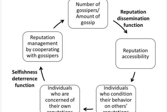  This figure from the researchers’ paper shows the evolutionary cycle of gossip. (credit: PAN, X., HSIAO, V., NAU, D. S., AND GELFAND, M. J.)