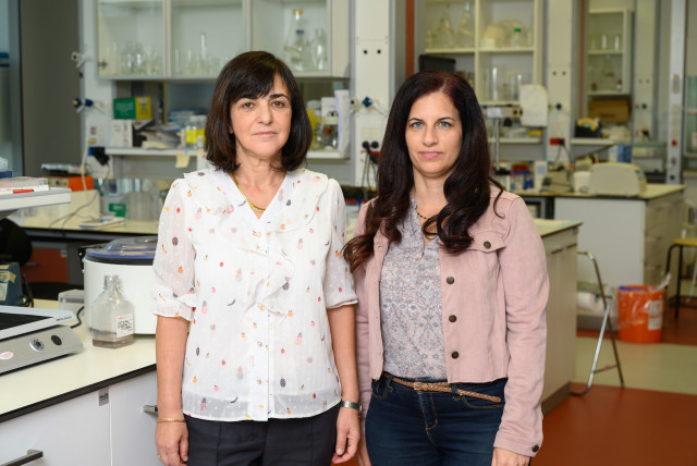  (l-r) Prof. Rivka Dikstein and Dr. Anat Bahat (credit: WEIZMANN INSTITUTE OF SCIENCE)