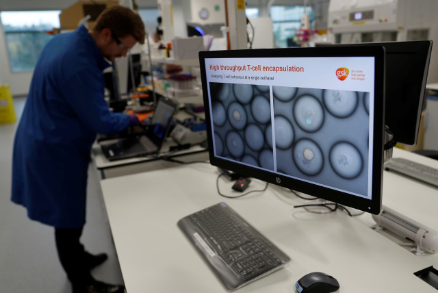  A scientist studies cancer cells inside white blood cells through a microscope at the GlaxoSmithKline (GSK) research centre in Stevenage, Britain November 26, 2019. (credit: PETER NICHOLLS/REUTERS)