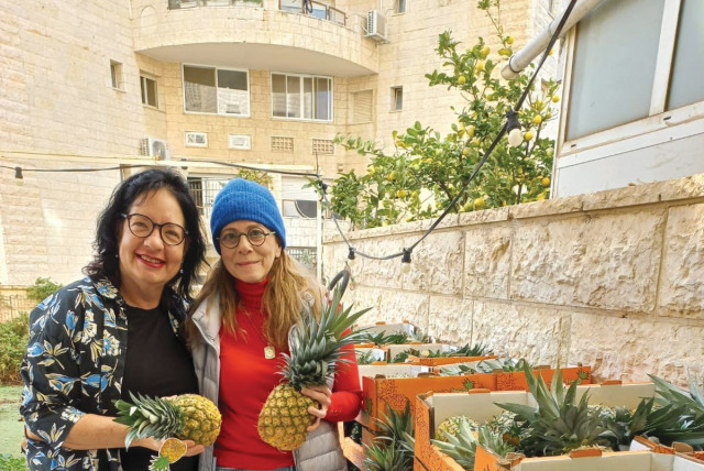  TANIA HAMMER (L) offered the use of her Jerusalem garden to a pineapple farmer from Moshav Bnei Netzarim in the Gaza envelope, where her friend Ruth and other locals bought pineapples. (credit: Courtesy Tania Hammer)