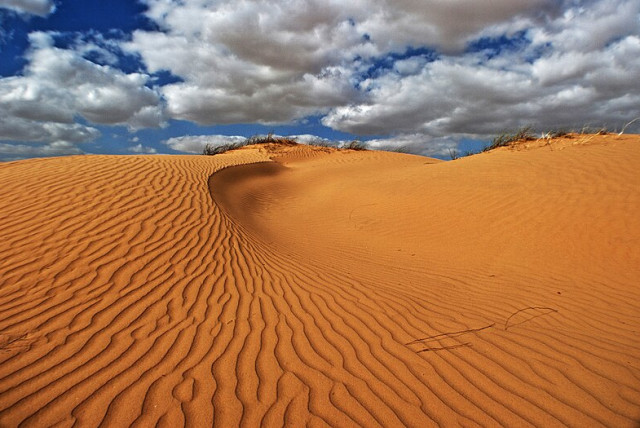  Israel sand dune (credit: Wikimedia Commons)