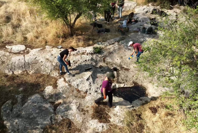  Teenage boys and girls work at the excavation. (credit: Emil Aladjem, Israel Antiquities Authority)