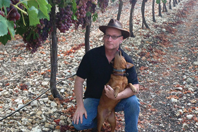  WINEMAKER SAM SOROKA outside Psagot Winery with his ever-present hat, a much-valued purchase from Argentina; and in the vineyard predictably with his dog. He is a great animal lover.  (credit: Sam Soroka)