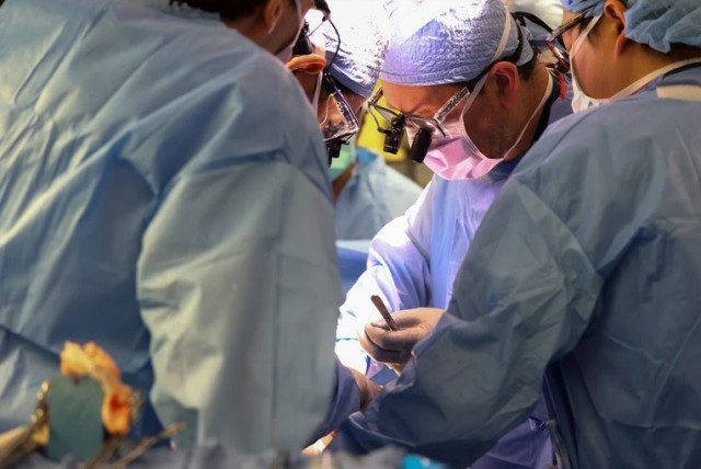  Médico implantando riñón de cerdo a hombre de 62 años en EEUU (crédito: MASS GENERAL)