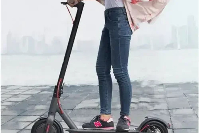  Electric scooter, from the leading categories in the application (credit: Walla)