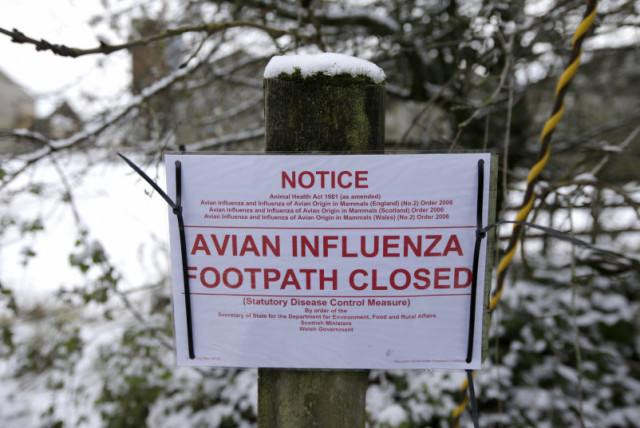  Una señal en el borde de una zona de exclusión advierte del cierre de un sendero tras un brote de gripe aviar en el pueblo de Upham, en el sur de Inglaterra, 3 de febrero de 2015. (credit: REUTERS/PETER NICHOLLS)