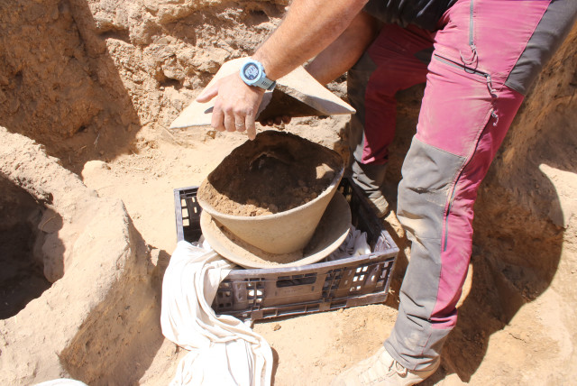 The broken ivory vessel deposited within the large basalt bowls. (credit: Davida Dagan, Antiquities Authority)