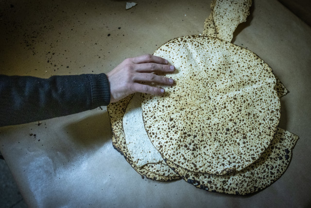  Ultra Orthodox Jews prepare Matza, traditional unleavened bread eaten during the 8-day Jewish holiday of Passover, in Jerusalem on April 9, 2024. (credit: CHAIM GOLDBEG/FLASH90)