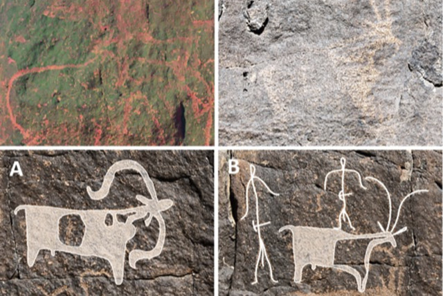  Species identifiable in the rock art of Umm Jirsan (credit: PLOS ONE)