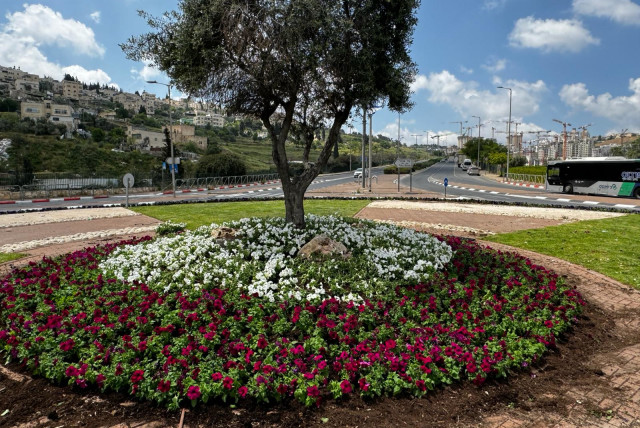 Flowers planted in Jerusalem in preparation for the spring and summer months, April 20, 2024. (credit: JERUSALEM MUNICIPALITY)