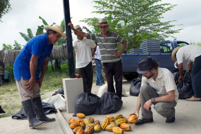  El austriaco Carl Schweizer (d) intercambia mazorcas y granos de cacao con agricultores locales en Piedra de Plata, Ecuador, 4 de junio de 2016. (credit: REUTERS/GUILLERMO GRANJA)
