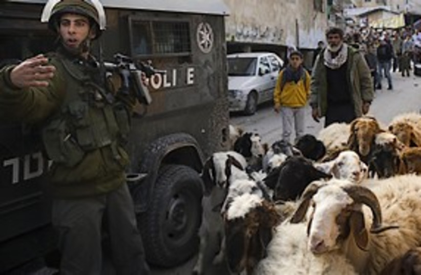 shuafat riots goats 311 (photo credit: AP)