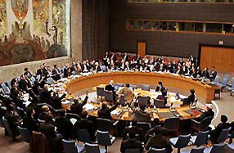 UN Security Council 311 (photo credit: courtesy)