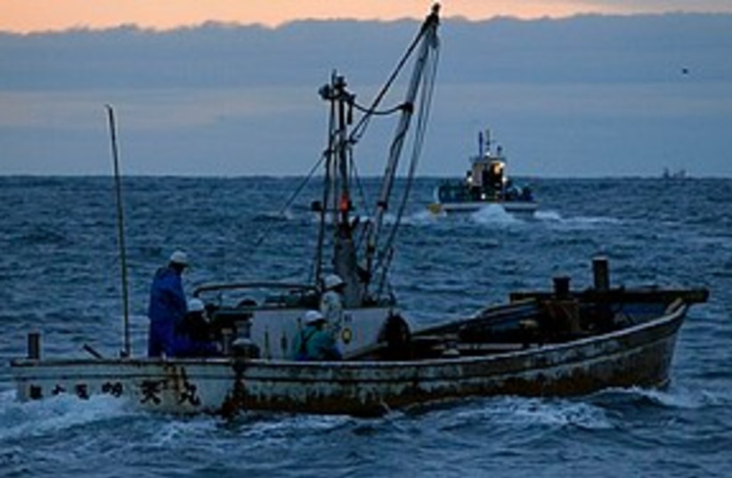 Fishing boat (photo credit: Associated Press)