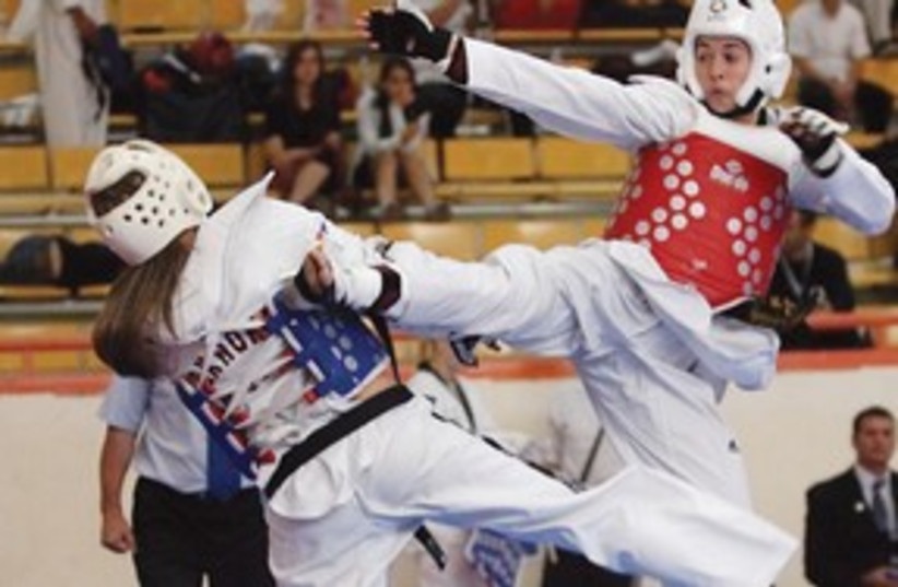 311_taekwondo (photo credit: Courtesy)
