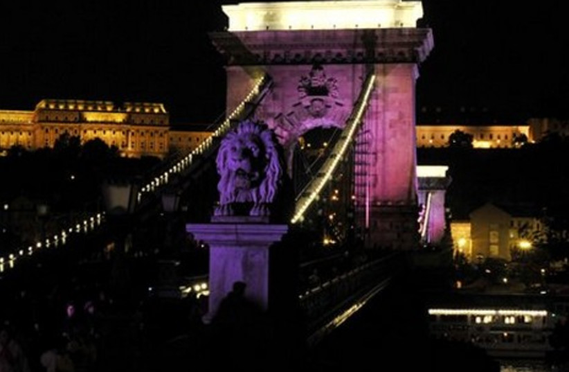 Chain Bridge pink photo gallery