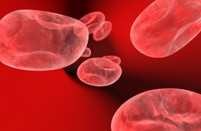 Blood cells (photo credit: Thinkstock/Imagebank)